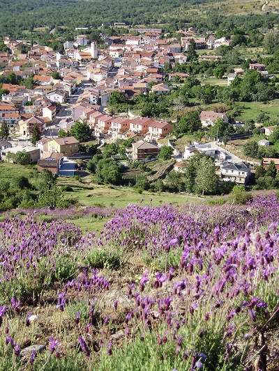 Panoramica