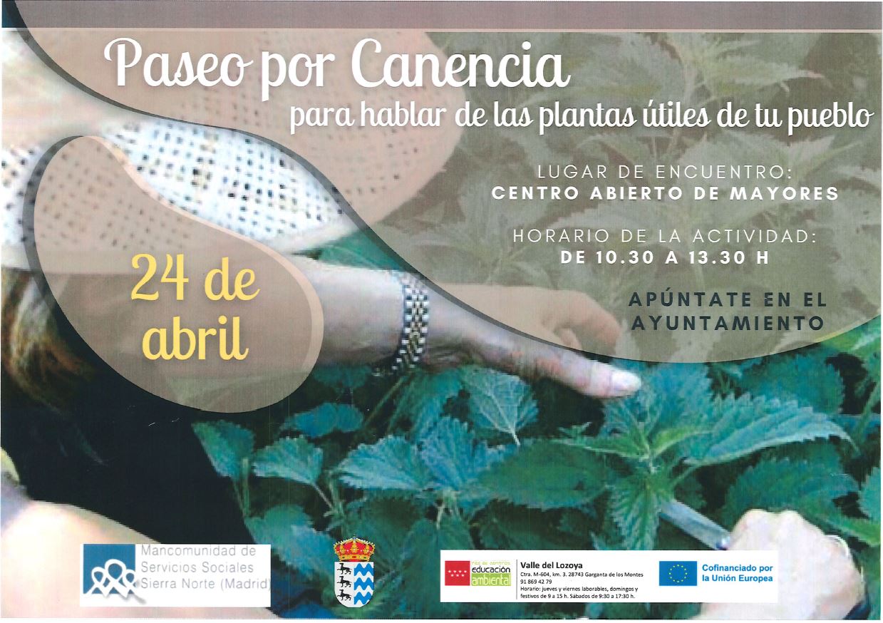 Paseo por Canencia conocer plantas abr 2024