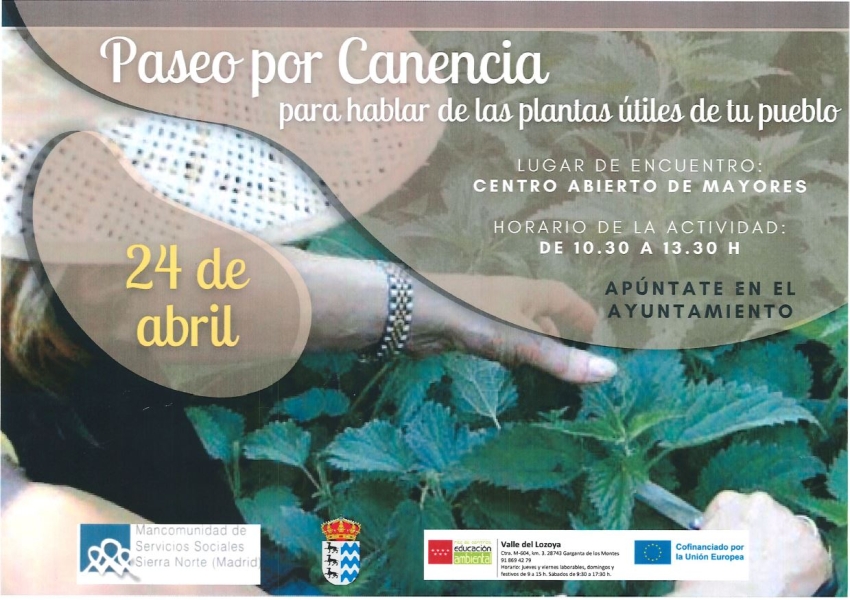 Paseo_por_Canencia_conocer_plantas_abr_2024