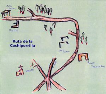 Cachiporrilla